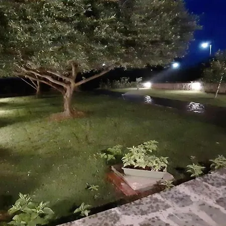 Appartement Trikorfo Apartment, 150m From Sandy